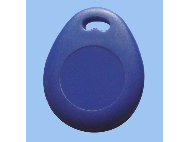 RFID Tag T5577 blue keyholder KF29
