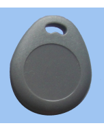 RFID Tag T5577 grey keyholder KF29