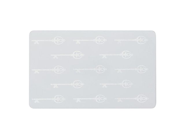 Zebra PVC Card 0,76mm (no brand on packaging) (100 Pcs)